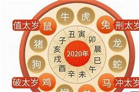 2023属虎|属虎人2023年全年运势运程 生肖虎遇兔年每月运势完。